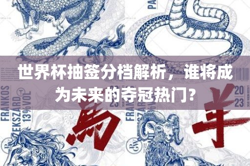 世界杯抽签分档解析，谁将成为未来的夺冠热门？