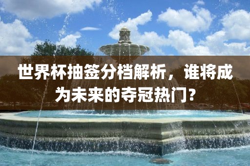 世界杯抽签分档解析，谁将成为未来的夺冠热门？