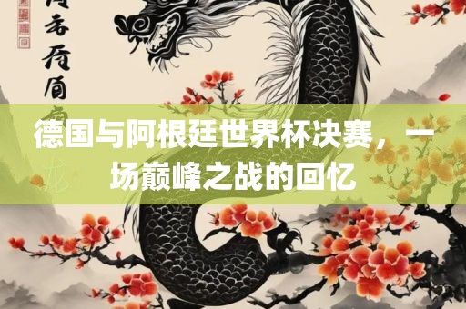 德国与阿根廷世界杯决赛，一场巅峰之战的回忆常熟市高丰毛纺织品有限公司