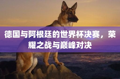 德国与阿根廷的世界杯决赛，荣耀之战与巅峰对决常熟市高丰毛纺织品有限公司