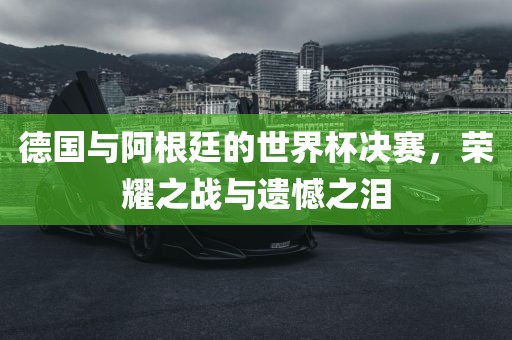 德国与阿根廷的世界杯决赛，荣耀之战与遗憾之泪常熟市高丰毛纺织品有限公司