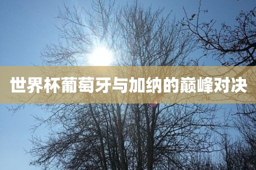 世界杯葡萄牙与加纳的巅峰对决常熟市高丰毛纺织品有限公司