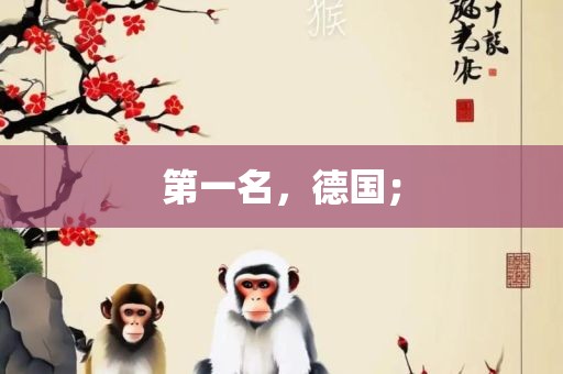 第一名，德国；常熟市高丰毛纺织品有限公司