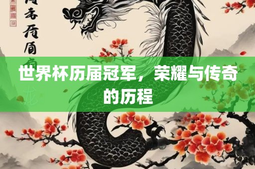 世界杯历届冠军，荣耀与传奇的历程