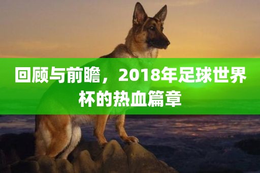 回顾与前瞻，2018年足球世界杯的热血篇章常熟市高丰毛纺织品有限公司