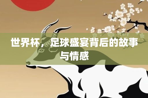 世界杯，足球盛宴背后的故事与情感常熟市高丰毛纺织品有限公司