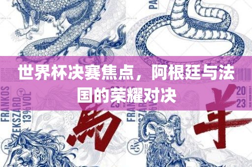 世界杯决赛焦点，阿根廷与法国的荣耀对决常熟市高丰毛纺织品有限公司