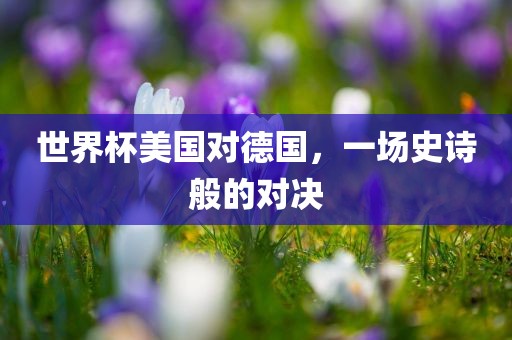 世界杯美国对德国，一场史诗般的对决常熟市高丰毛纺织品有限公司