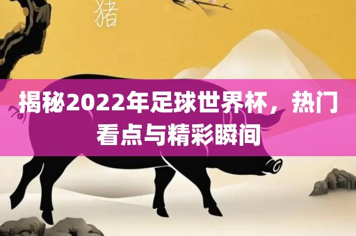 揭秘2022年足球世界杯，热门看点常熟市高丰毛纺织品有限公司与精彩瞬间