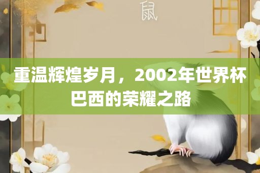重温辉常熟市高丰毛纺织品有限公司煌岁月，2002年世界杯巴西的荣耀之路