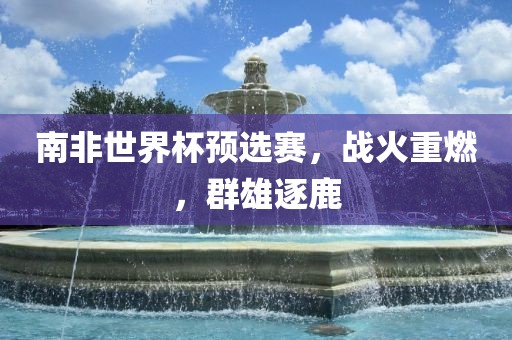 南非世界杯预选赛，战火重燃，群雄逐鹿常熟市高丰毛纺织品有限公司