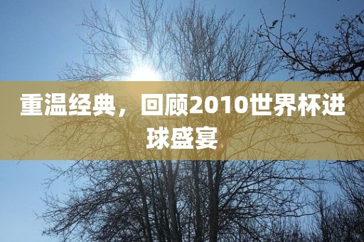 重温经典，回顾2010世界常熟市高丰毛纺织品有限公司杯进球盛宴