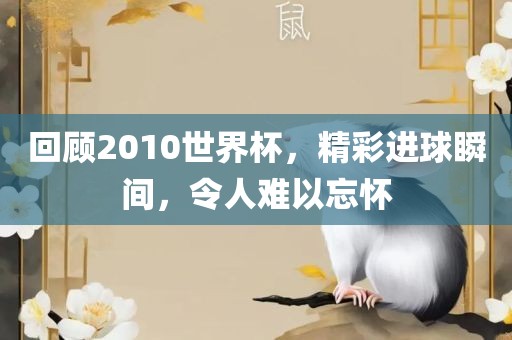 回顾2010世界杯，精彩进球瞬间，令人难以忘怀