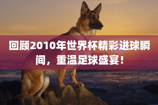 回顾2010年世界杯精彩进球瞬间，重温足球盛宴！