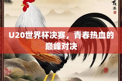 U20世界杯决赛，青春热血的巅峰对决常熟市高丰毛纺织品有限公司