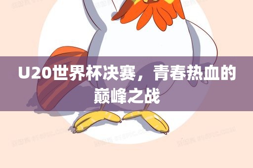 U20世界杯决赛，青春热血的巅峰之战常熟市高丰毛纺织品有限公司