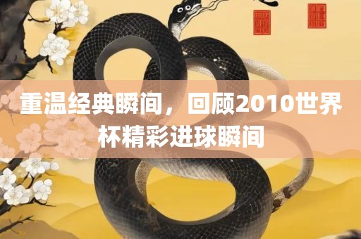 重温经典瞬间，回顾2010世界杯精彩进球瞬间