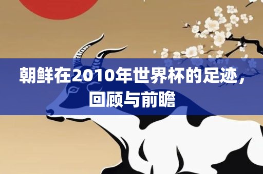 朝鲜在2010年世界杯的足迹，回顾与前瞻常熟市高丰毛纺织品有限公司