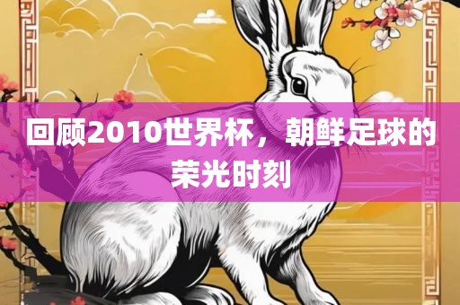 回顾2010世界杯，朝鲜足球的荣光时刻常熟市高丰毛纺织品有限公司
