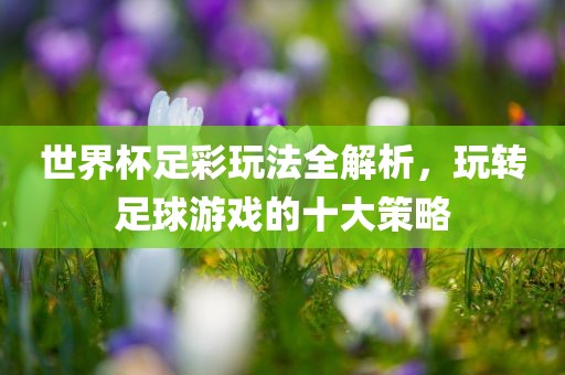 世界杯足彩玩法全解析，玩转足球游戏的十常熟市高丰毛纺织品有限公司大策略