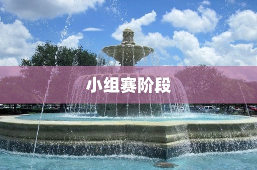 小组赛阶段常熟市高丰毛纺织品有限公司