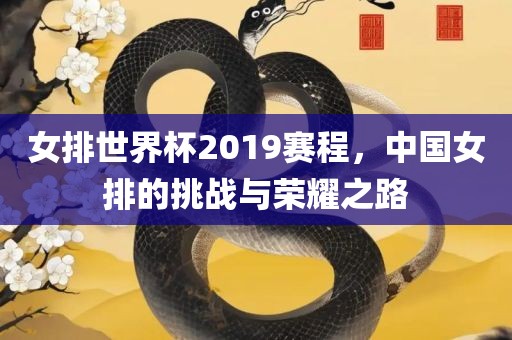 女排世界杯2019赛程，中国女排的挑战与荣耀之路常熟市高丰毛纺织品有限公司