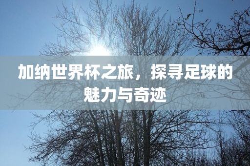 加常熟市高丰毛纺织品有限公司纳世界杯之旅，探寻足球的魅力与奇迹