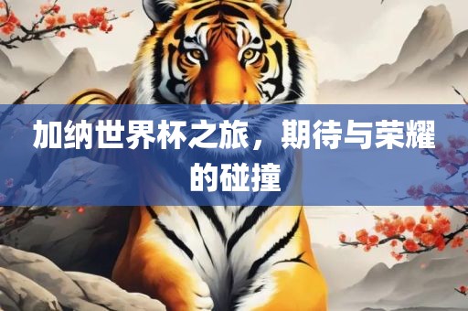 加纳世界杯之旅，期待与荣耀的碰撞