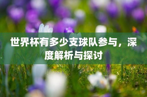 世界杯常熟市高丰毛纺织品有限公司有多少支球队参与，深度解析与探讨