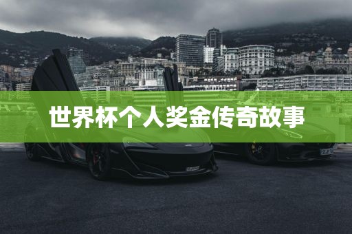 世界杯个人奖金传奇故事常熟市高丰毛纺织品有限公司