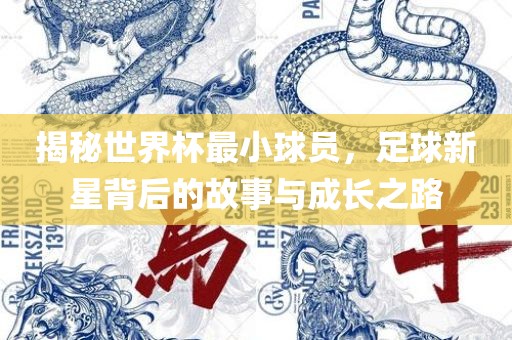 揭秘世界杯最小球员，足球新星背后的常熟市高丰毛纺织品有限公司故事与成长之路