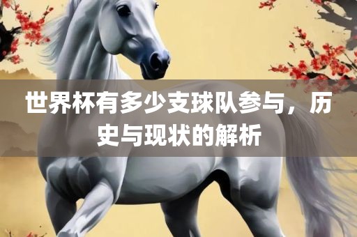 世界杯有多少支球队参与，历史与现状的解析常熟市高丰毛纺织品有限公司