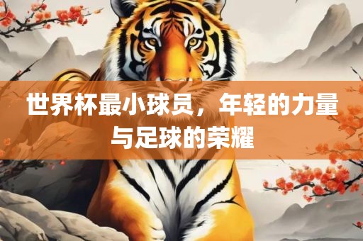 世界杯最小球员，年轻的力量与足球的荣耀常熟市高丰毛纺织品有限公司
