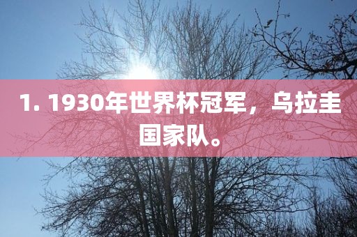 1. 1930年世界杯冠军，乌拉圭国家队。