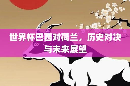 世界杯巴西对荷兰，历史对决与未来展望常熟市高丰毛纺织品有限公司
