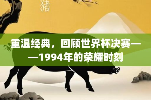 重温经典，回顾世界杯决赛——1994年的荣耀时刻常熟市高丰毛纺织品有限公司
