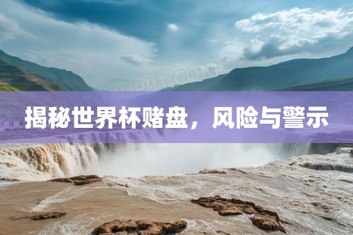 揭秘世界杯赌盘，风险与警示