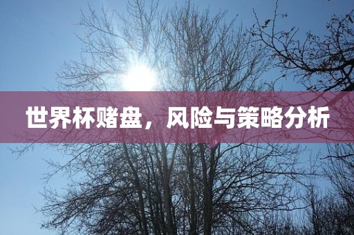 世界杯赌盘，风险与策略分析