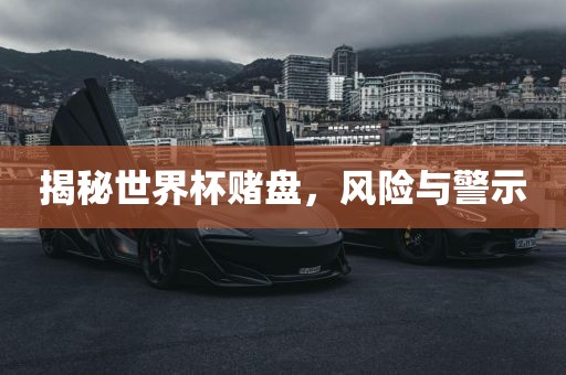 揭秘世界杯赌盘，风险与警示