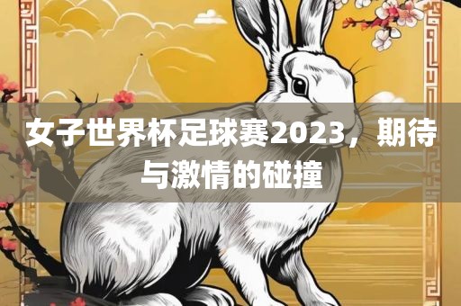女子世界杯足球赛2023，期待与激情的碰撞