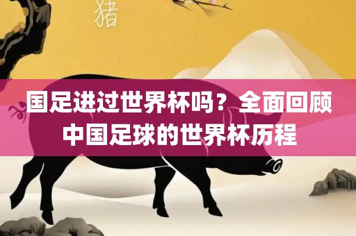 国足进过世界杯吗？全面回顾中国足球的世界杯历程