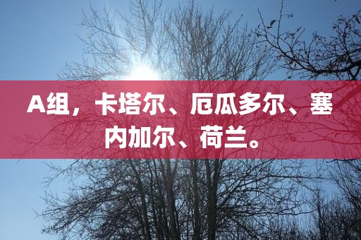 A组，卡塔尔、厄瓜多尔、塞内加尔、荷兰。