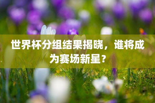 世界杯分组结果揭晓，谁将成为赛场新星？