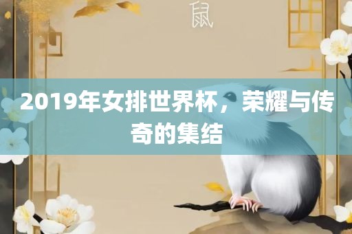 2019年女排世界杯，荣耀与传奇的集结