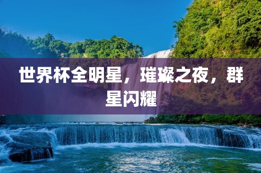 世界杯全明星，璀璨之夜，群星闪耀常熟市高丰毛纺织品有限公司