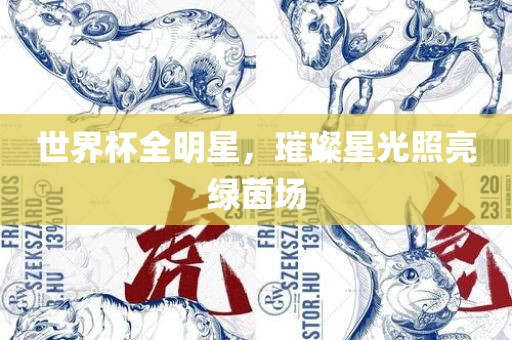世界杯全明星，璀璨星光照亮绿茵常熟市高丰毛纺织品有限公司场