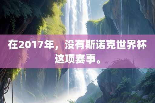 在2017年，没有斯诺克世界杯这项赛事。