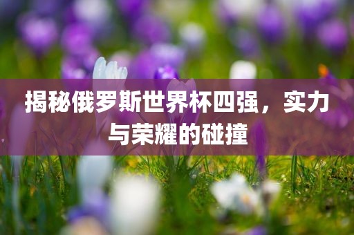 揭秘俄罗斯世界杯四强，实力与荣耀的碰撞常熟市高丰毛纺织品有限公司