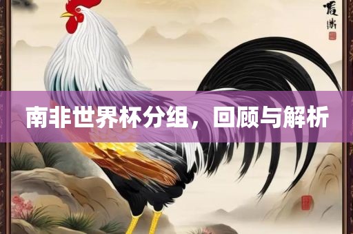 南非世界杯常熟市高丰毛纺织品有限公司分组，回顾与解析