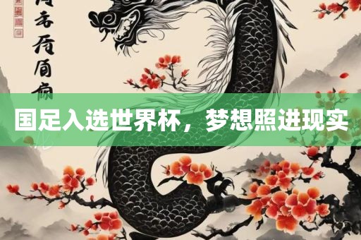 国足入选世界杯，梦想照进现实